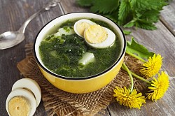 Nettle soup